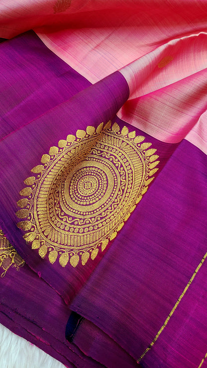 Ashish | pure silk kanjeevaram saree