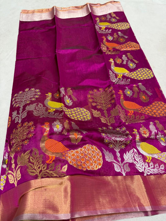 Chabi | Meenakari chanderi saree