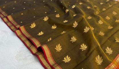 Charmis | Chanderi saree