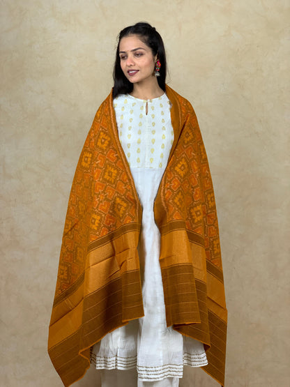 Mamta | patola shawl