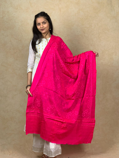 Prafful | patola shawl