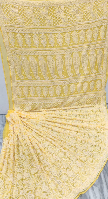 Chikankari jaal saree